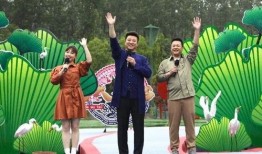 桃源新建筑爆料视频最新,揭秘最新建筑爆料视频中的惊艳之作